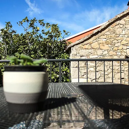 Ivan